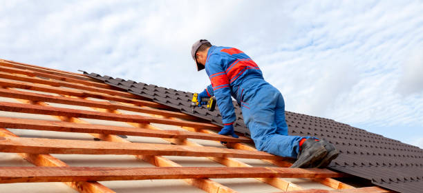 Trusted River Park, FL Roofing services Experts